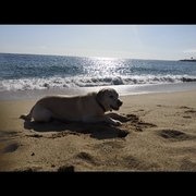 junior-05-05-2026.jpg
