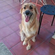 layla-01-08.jpg