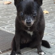 lola-14-09-2026.jpg