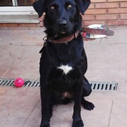 lola-20-06.jpg