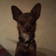 LULA - lula-2-27-01-2026.JPEG