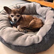 LULA - lulaa-4-27-01-2026.jpeg