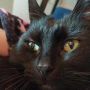 LUNA - luna-2-10-03-2026.jpg