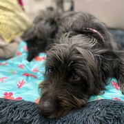 LUNA - luna-2-16-03-2026.jpg