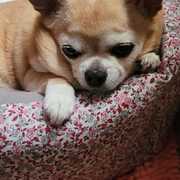 LUNA - luna-2-16-10-2025.jpg