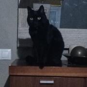 LUNA - luna-3-10-03-2026.jpg