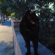 LUNA - luna-4-10-03-2026.jpg