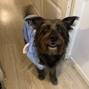 LUNA - luna-4-16-03-2026.jpg