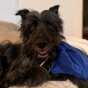 LUNA - luna-5-16-03-2026.jpg