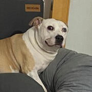 MACK - mack-29-11-2025.jpg