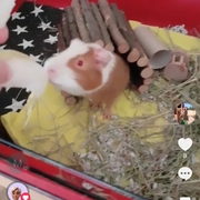 MAX - max-1-28-08-25.jpg