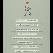 MAX - max-2-18-08-25.jpg