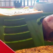 MAX - max-2-28-08-25.jpg