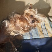 max-27-08-2026.jpg