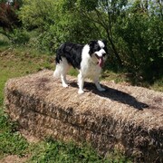 MAX - max-3-05-06-2026.jpg