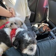 MÍA GRAU - mia-2-05-03-2026.jpg