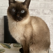 MUSSY - mussy-2-22-04-2026.jpg