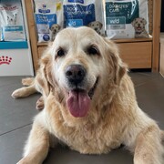 nala-27-08-2026.jpg