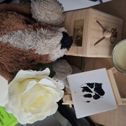 NANO - nano-2-08-09-25.jpg