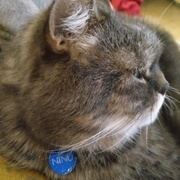 NINU - ninu-1-25-03-2026.jpeg