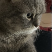 NINU - ninu-6-25-03-2026.jpeg