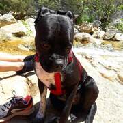 NYMERIA - nymeria-2-18-03-2026.jpg