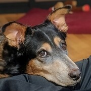 odin-28-09-2026.jpg