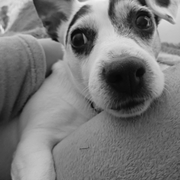 panda-1-01-09-2026.jpg
