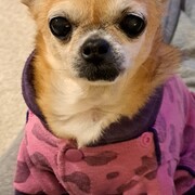 PARIS - paris-11-15-02-2026.jpg