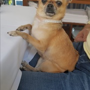 PARIS - paris-2-15-02-2026.jpg