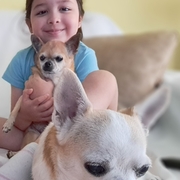 PARIS - paris-6-15-02-2026.jpg