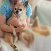 PARIS - paris-7-15-02-2026.jpg