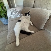 PEP - pep-2-24-10-2025.jpeg