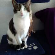 PUMA - puma-2-29-01-2026.jpg