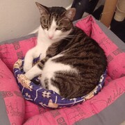 PUMA - puma-4-29-01-2026.jpg