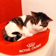 PUMA - puma-5-29-01-2026.jpg