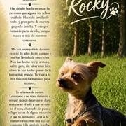 rocky-30-07-2026.jpg