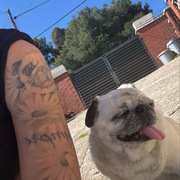 SHIVA - shiva-2-22-04-2026.jpeg