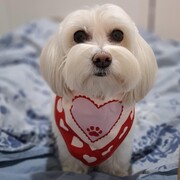 suri-20-09-2026.jpg