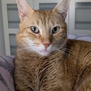 taro-01-05-2026.jpg