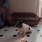 thor-1-10-10-2025.jpg