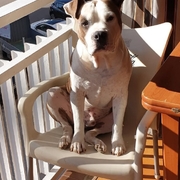 thor-1-14-09-2026.jpg