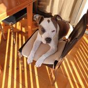 THOR - thor-2-14-09-2026.jpg