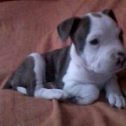 THOR - thor-3-14-09-2026.jpg