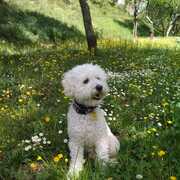tobi-23-06-2026.jpg
