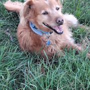 toby-30-06-2026.jpg