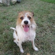 tommy-11-10-2025.jpg