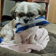 YEIKO - yeiko-2-11-02-2026.jpg