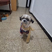 YEIKO - yeiko-3-11-02-2026.jpg