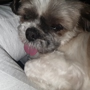 YEIKO - yeiko-4-11-02-2026.jpg